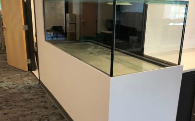 6 of the Most Difficult Items to Move