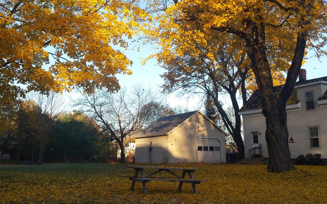 Prevent Falls in Your Home this Fall